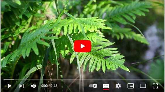 Des &eacute;quilibres